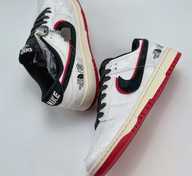 Nike Sb Dunk Low X The North Face Dm6868-041