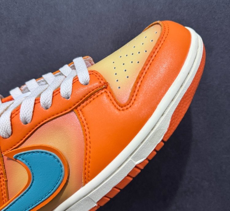 Nk Sb Dunk Low Pro Dv5744-667