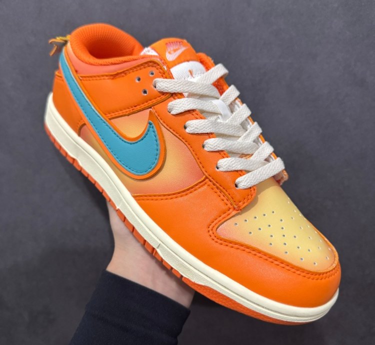 Nk Sb Dunk Low Pro Dv5744-667