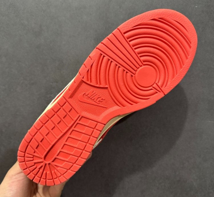 Nk Sb Dunk Low Pro Dv5744-166