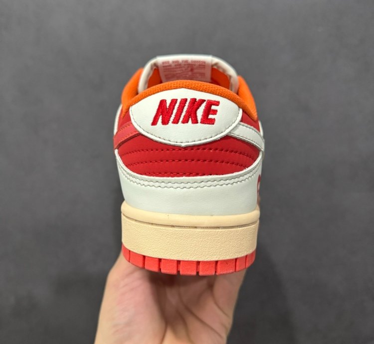Nk Sb Dunk Low Pro Dv5744-166