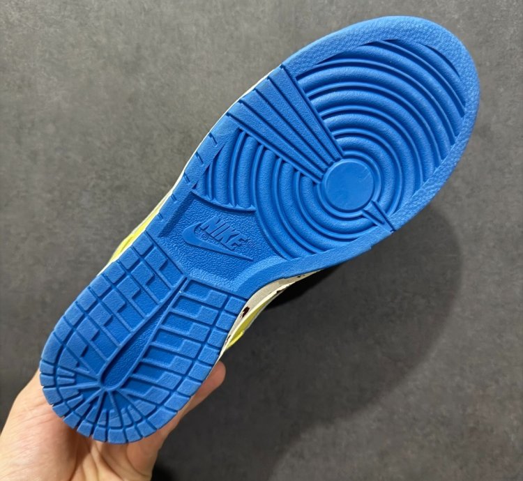 Nk Sb Dunk Low Pro V5744-774