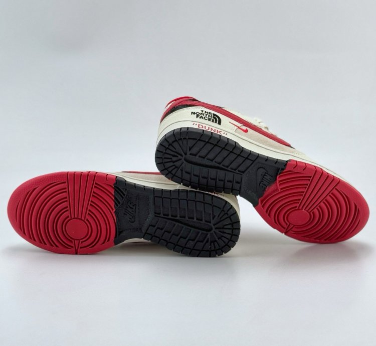 Nike Sb Dunk Low X The North Face Dj2024-127