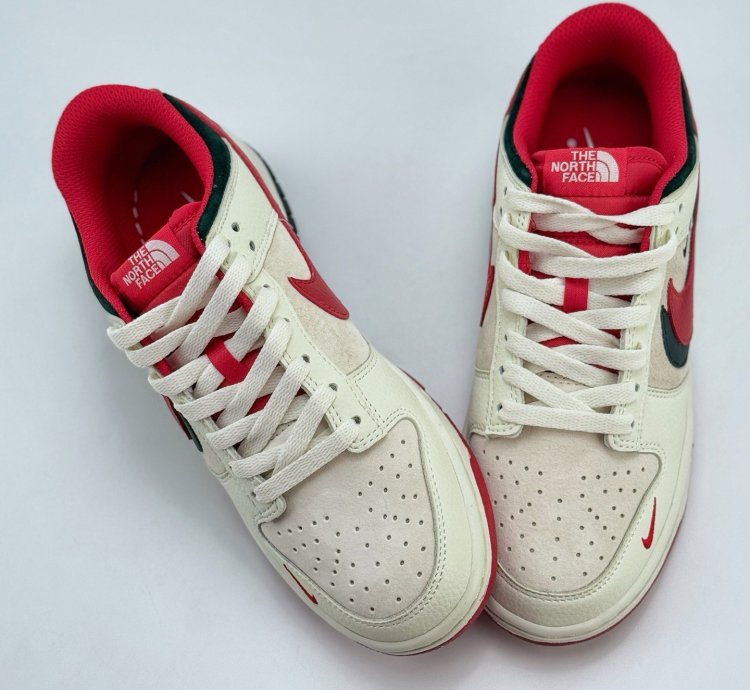 Nike Sb Dunk Low X The North Face Dj2024-127