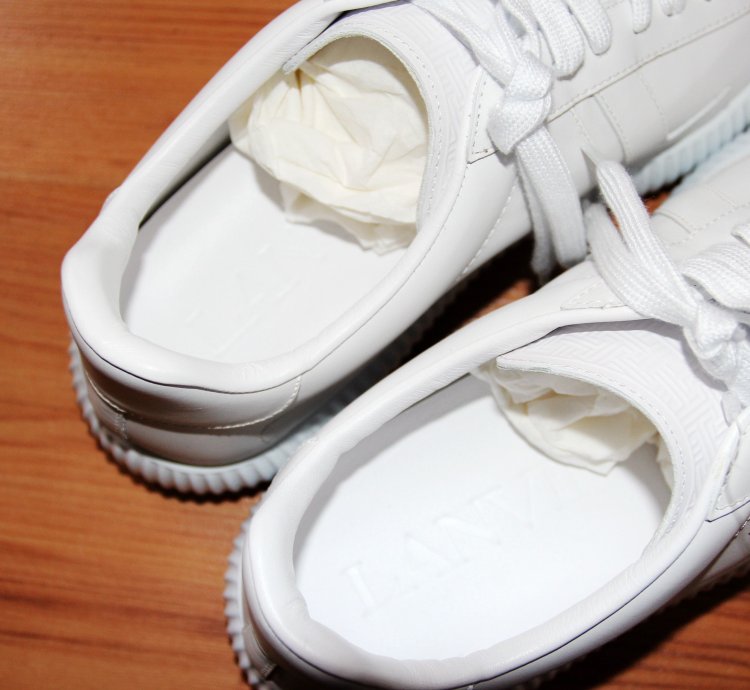 Bnwt Aw21 Lanvin Glen Low Top Sneakers 44