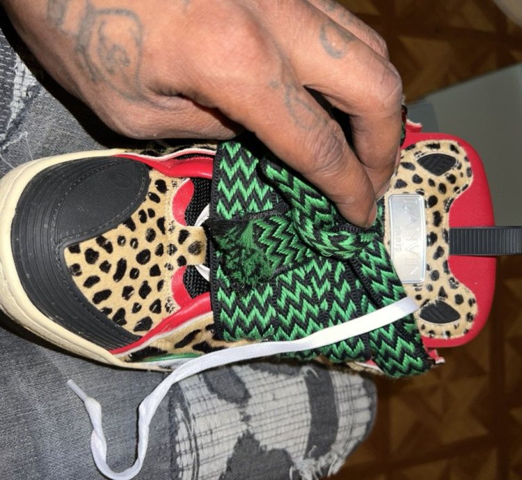 Lanvin Animal Print Cirb Skater Sneakers
