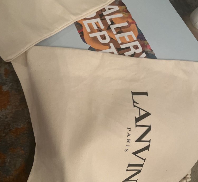 Lanvin Gallery Dept Curb Sneakers