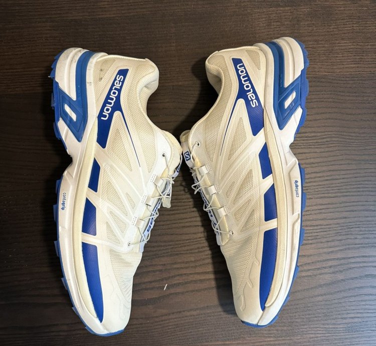 Salomon And Nb