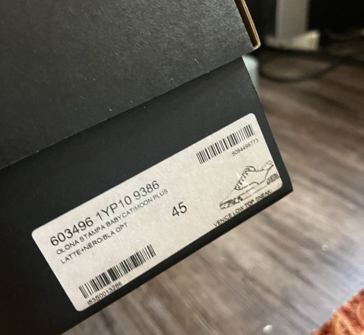 Babycat Sneakers New