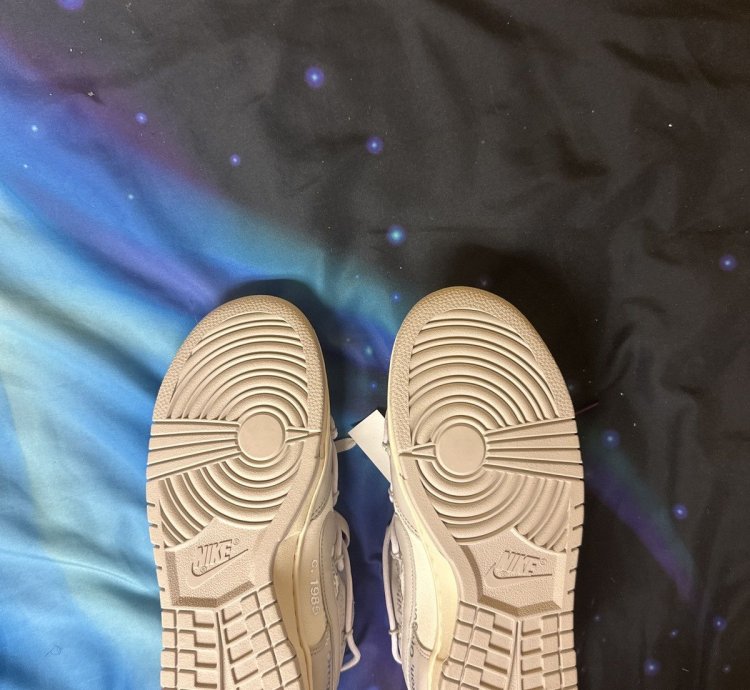 Lot 3 Off White Dunks