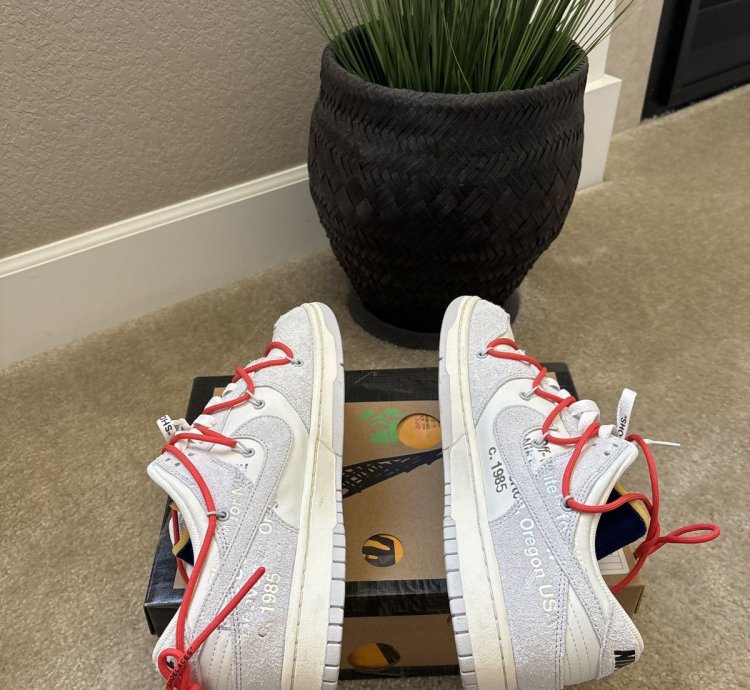 Nike Dunk Low Off-white Lot 13