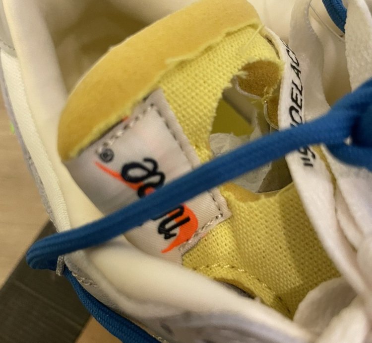 Nike Dunk Off White Lot 50