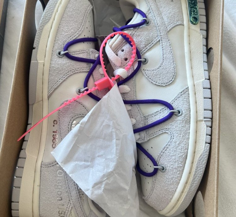 Nike Off White Dunk Low Lot 15