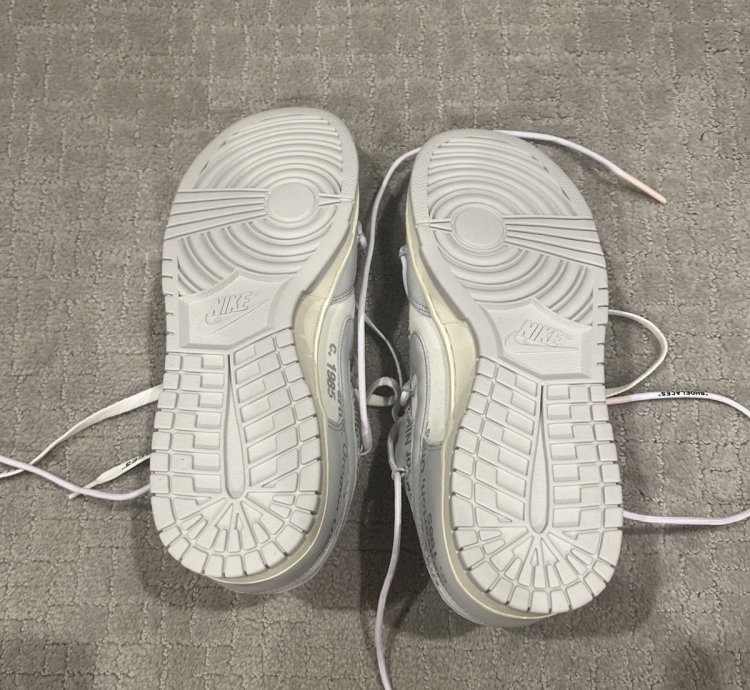 Nike Offwhite Dunk Lot 3