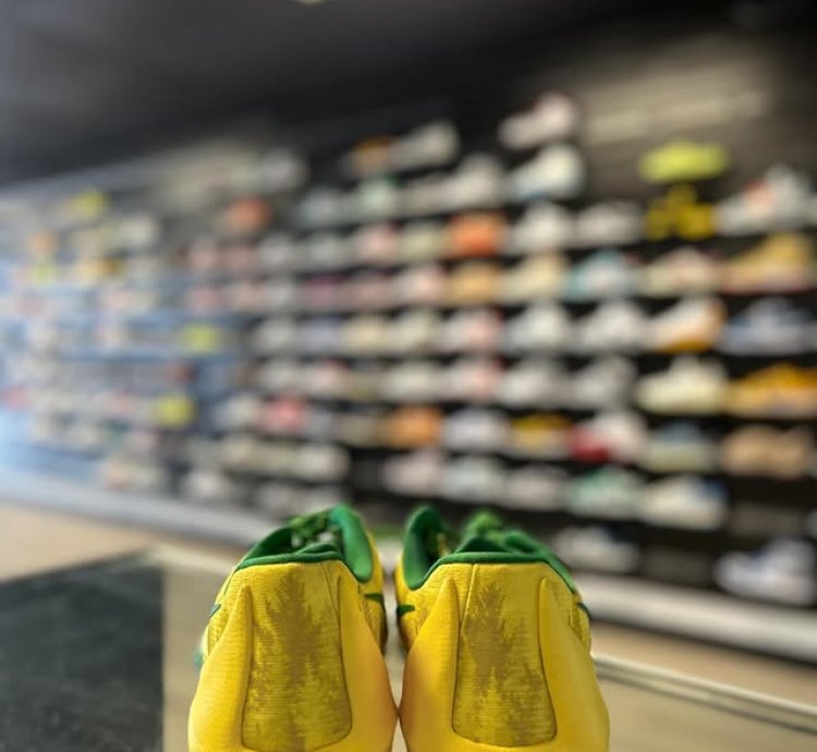 Nike Kd 8 Oregon