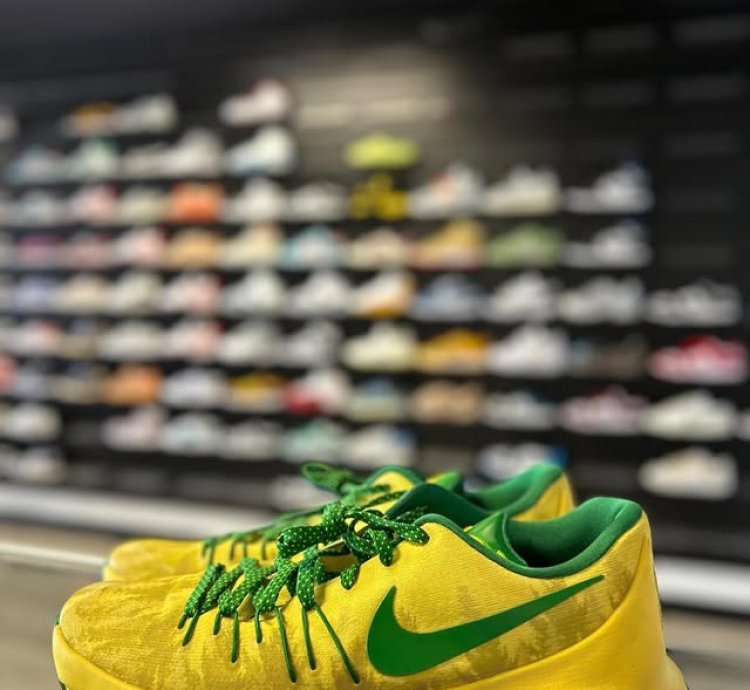 Nike Kd 8 Oregon