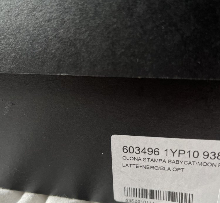 Saint Laurent Babycat Sneaker