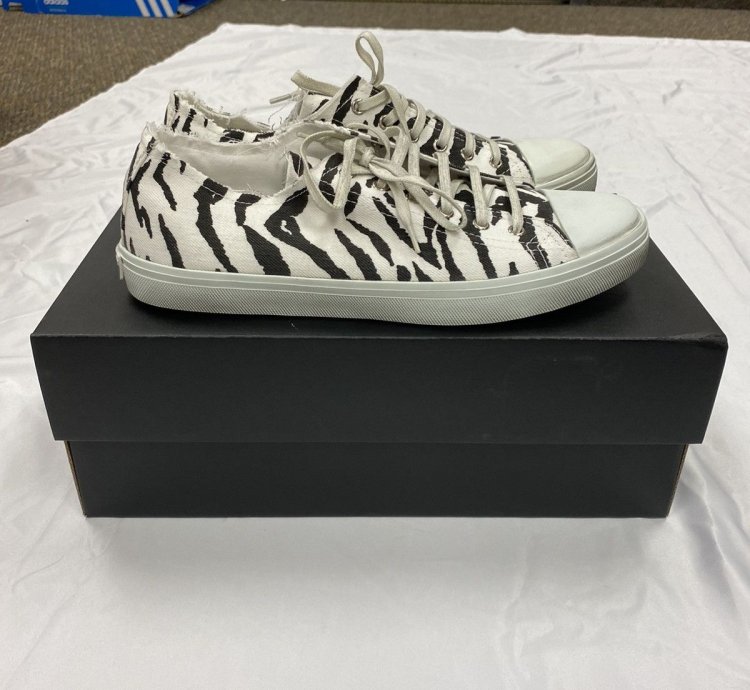 Saint Laurent Bedford Zebra Canvas Low-top Sneaker