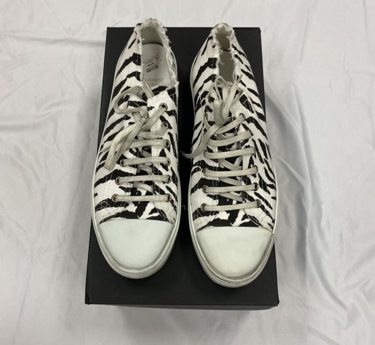 Saint Laurent Bedford Zebra Canvas Low-top Sneaker