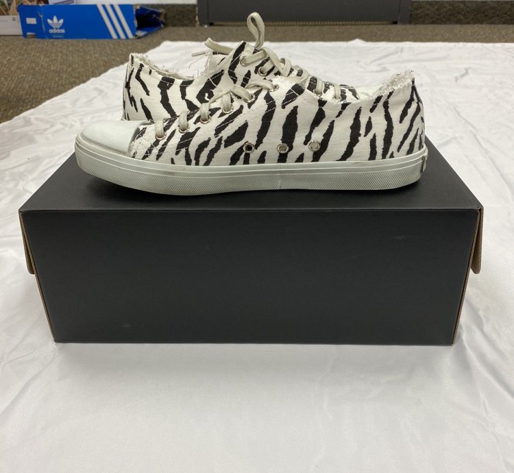 Saint Laurent Bedford Zebra Canvas Low-top Sneaker