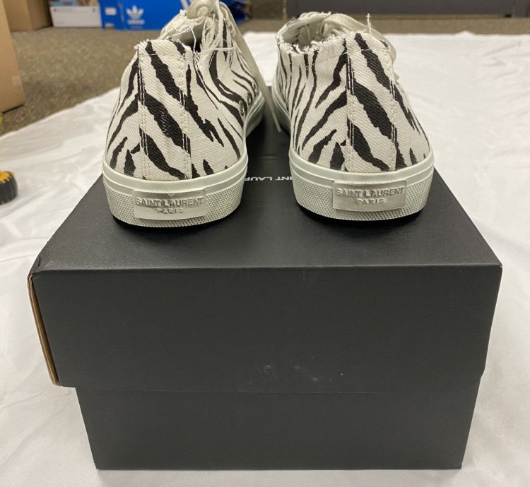 Saint Laurent Bedford Zebra Canvas Low-top Sneaker