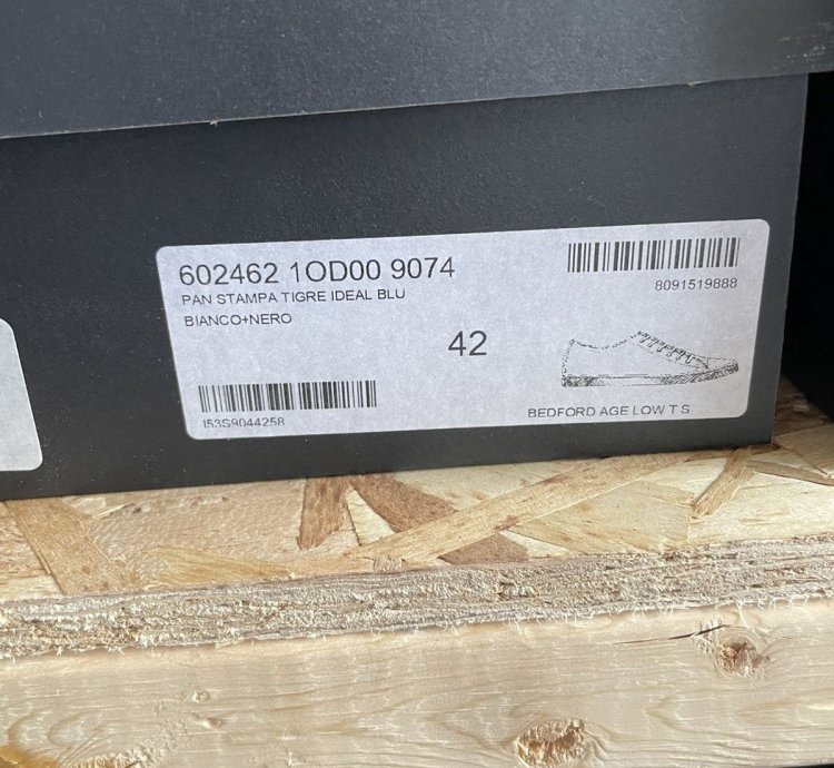 Saint Laurent Bedford Zebra Canvas Low-top Sneaker