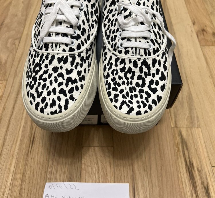 Saint Laurent Venice Low