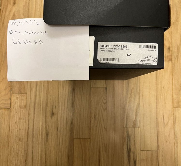 Saint Laurent Venice Low