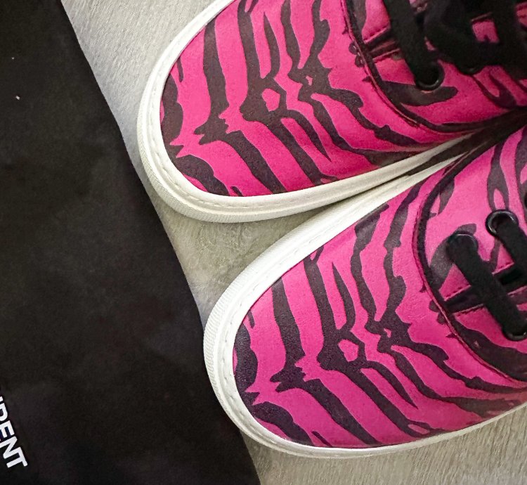 Saint Laurent Venice Low Leather Zebra Sneaker