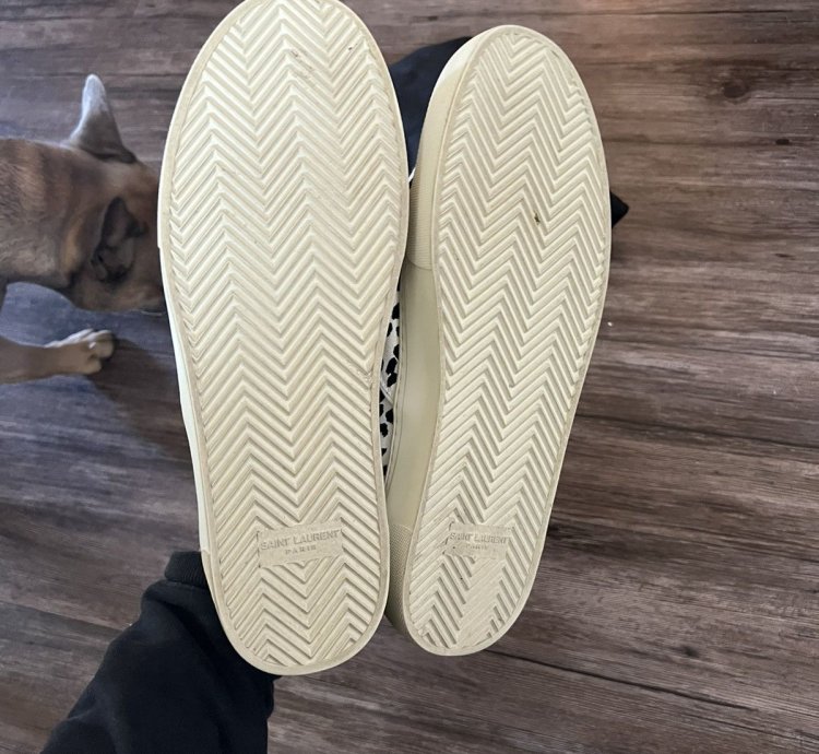 Venice Babycat Skates Low