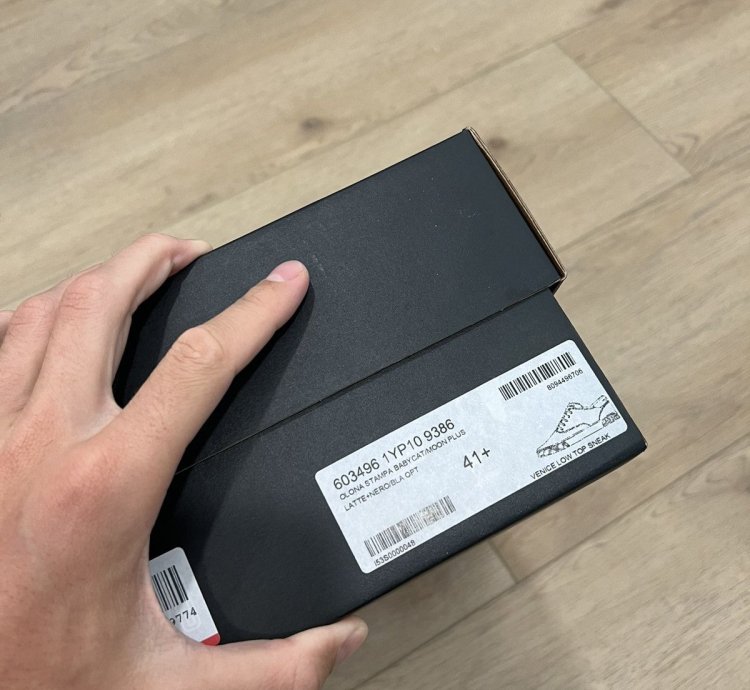 Venice Babycat Sneaker New