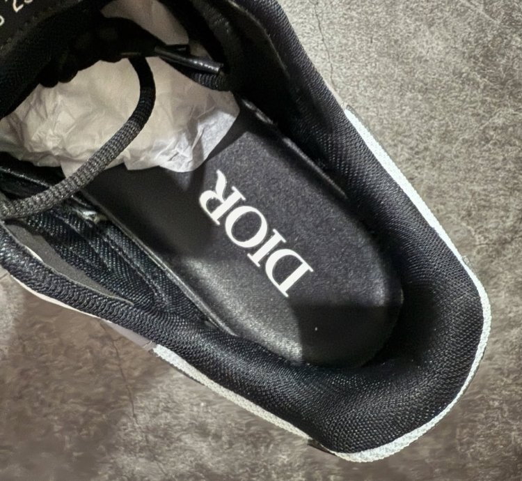 Dior B30 Low-top Sneakers grey Anthacite