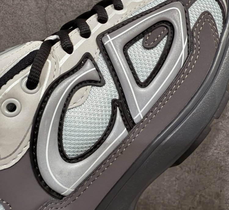 Dior B30 Low-top Sneakers grey Anthacite