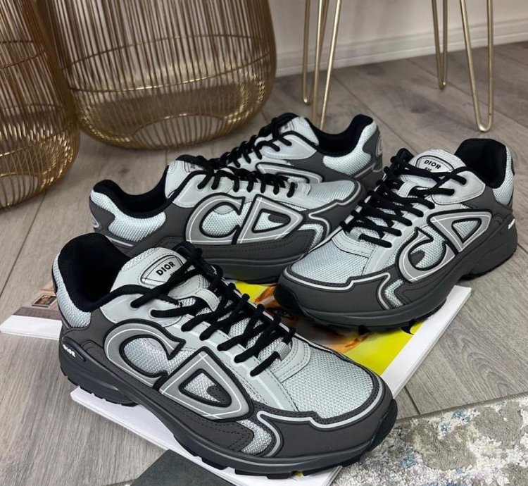Dior B30 Low-top Sneakers grey Anthacite