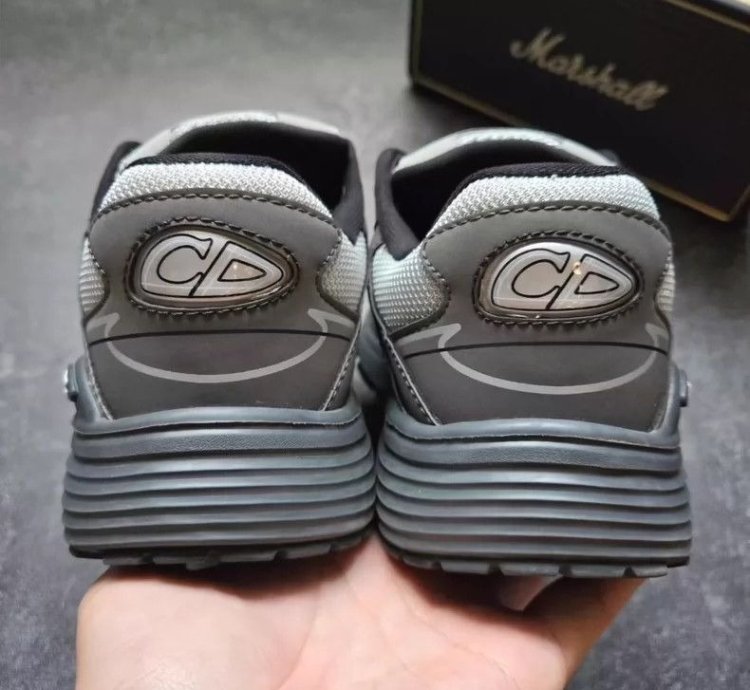 Dior B30 Low-top Sneakers grey Anthacite