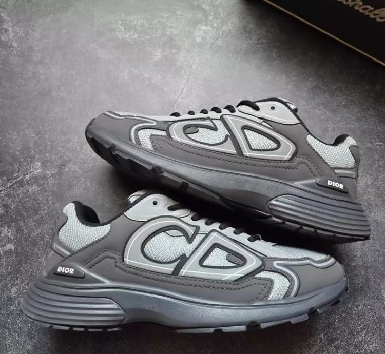 Dior B30 Low-top Sneakers grey Anthacite