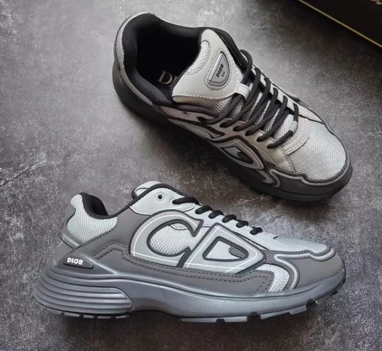 Dior B30 Low-top Sneakers grey Anthacite