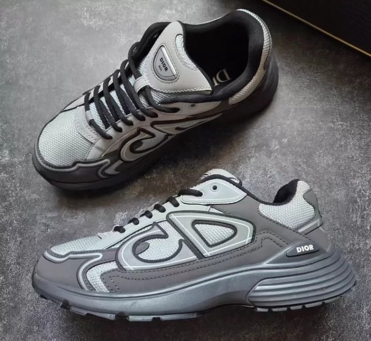 Dior B30 Low-top Sneakers grey Anthacite