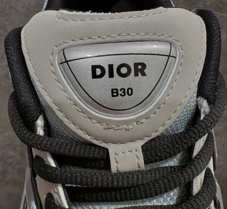 Dior B30 Low-top Sneakers grey Anthacite