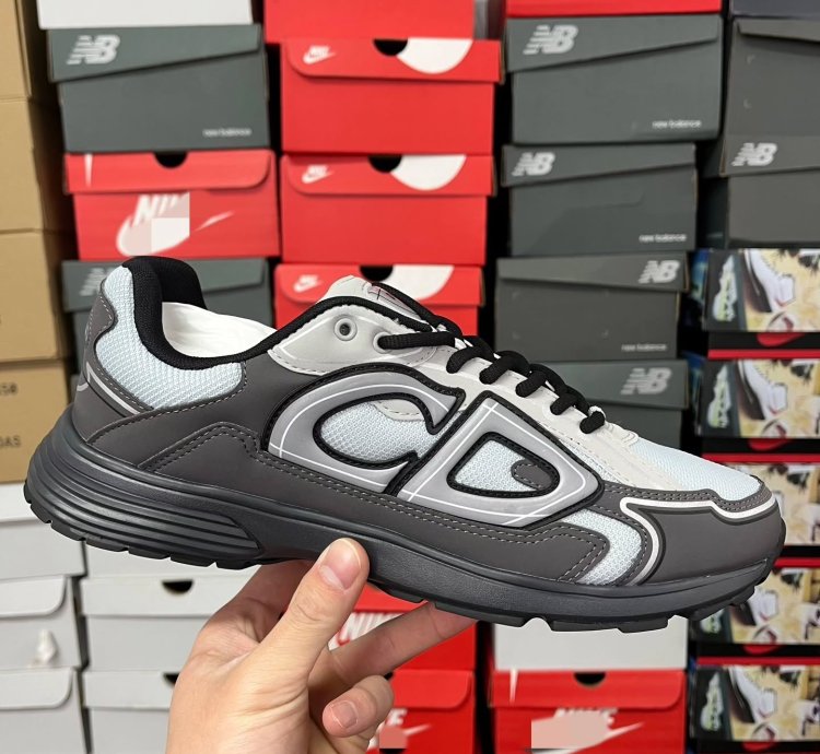Dior B30 Low-top Sneakers grey Anthacite