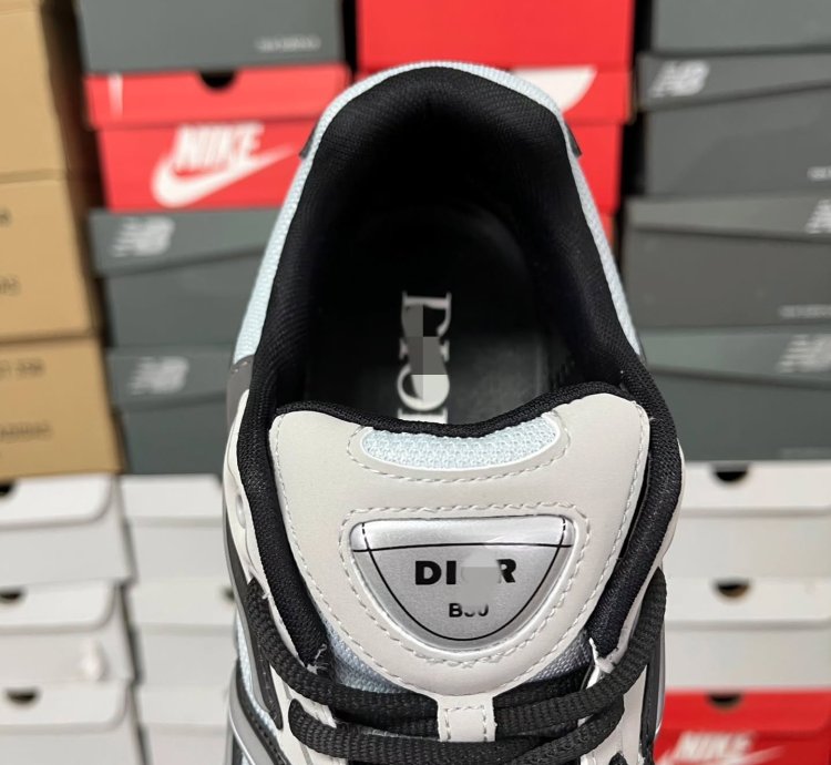 Dior B30 Low-top Sneakers grey Anthacite