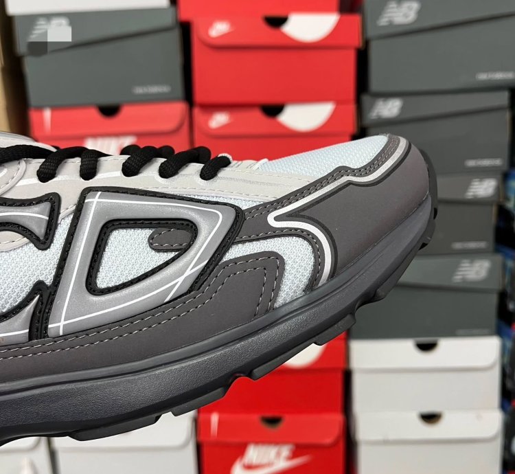 Dior B30 Low-top Sneakers grey Anthacite