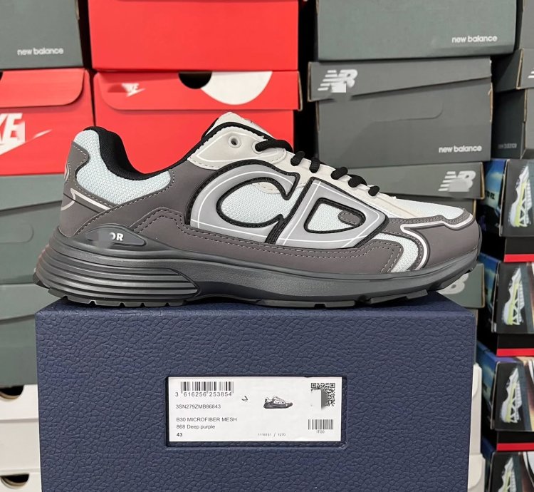 Dior B30 Low-top Sneakers grey Anthacite