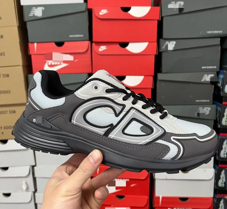 Dior B30 Low-top Sneakers grey Anthacite