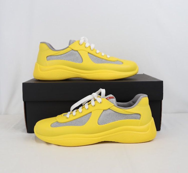 Americas Cup Low Top Sneakers Trainer In Multicolor