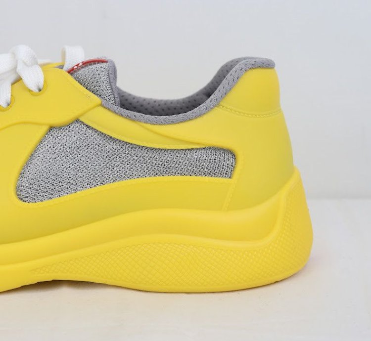 Americas Cup Low Top Sneakers Trainer In Multicolor