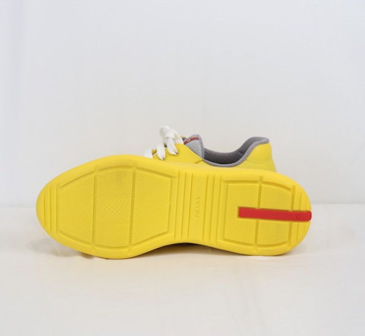 Americas Cup Low Top Sneakers Trainer In Multicolor