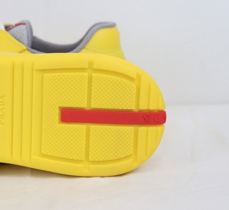 Americas Cup Low Top Sneakers Trainer In Multicolor
