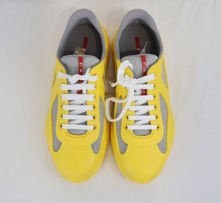 Americas Cup Low Top Sneakers Trainer In Multicolor