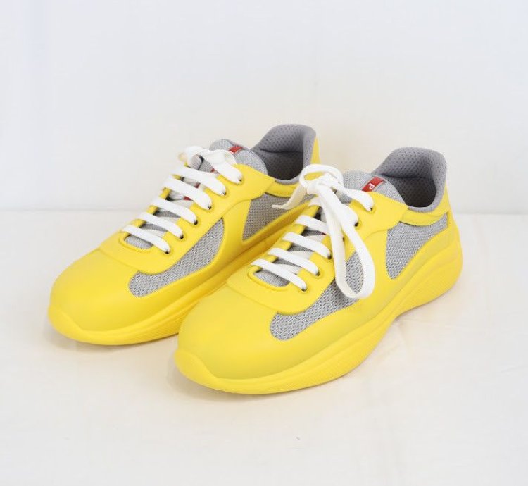 Americas Cup Low Top Sneakers Trainer In Multicolor